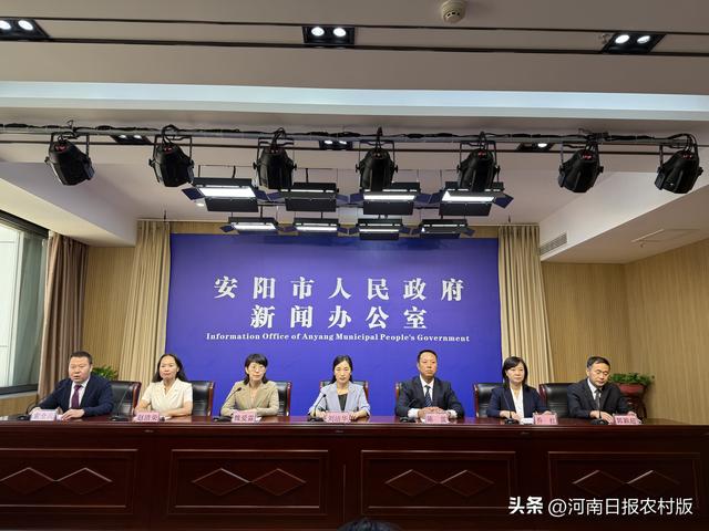 安阳文旅“成绩单”亮眼：前8个月接待游客超7100万