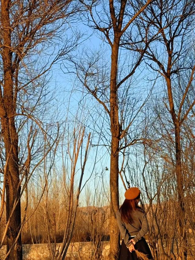 【文明旅游】太原市娄烦县：别留遗憾！娄烦湿地公园藏着秋日绝美秘境，这周末速冲打卡！