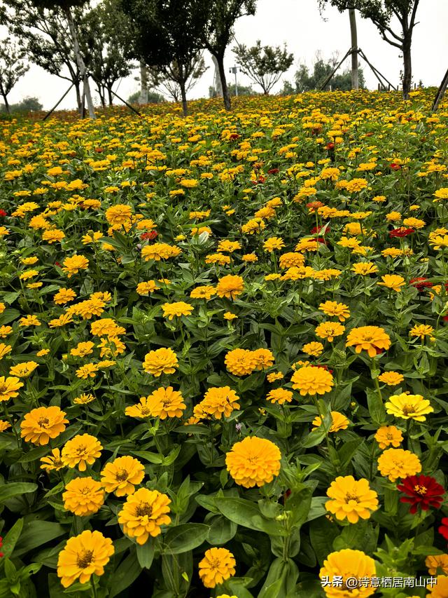 东西湖大堤绿道阻碍重重，现如何从江岸骑行到东西区大堤绿道？