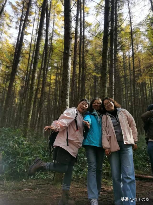 晨光下,米仓山的秋色在眼前一点点展开