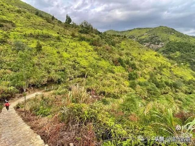 秋风起，浙江这条绝美海岛风光徒步穿越线路，可以安排了！