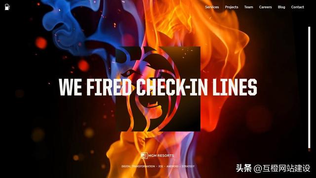 权威精选！2025 年浙江网站建设公司标杆企业深度分析，附服务能力