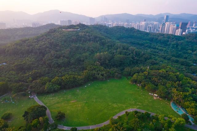 我是北京人，去了趟深圳，不得不承认 我对深圳的印象彻底被颠覆了