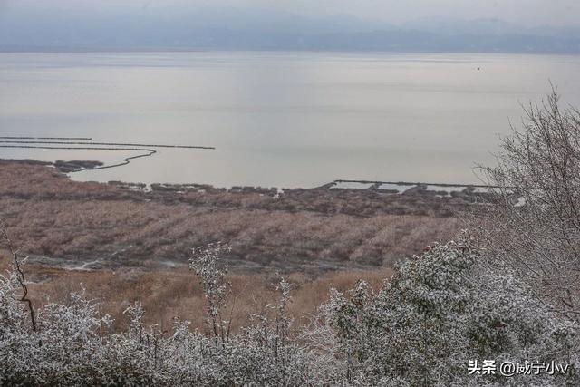 琼枝映草海 雾凇绘高原——威宁草海北坡生态公园现冬日限定仙境