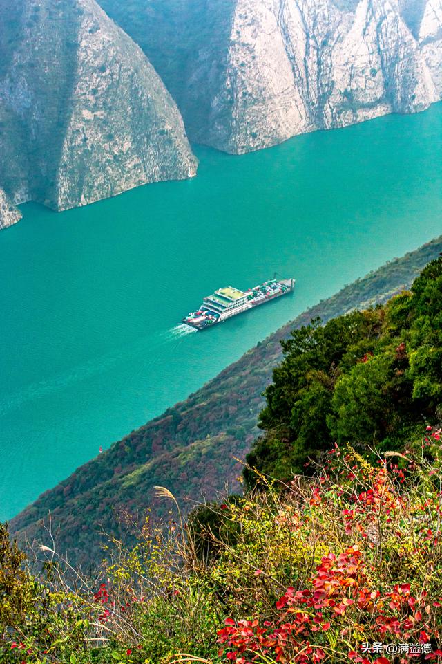 冬日巫山：红叶浸透风骨，江山如画