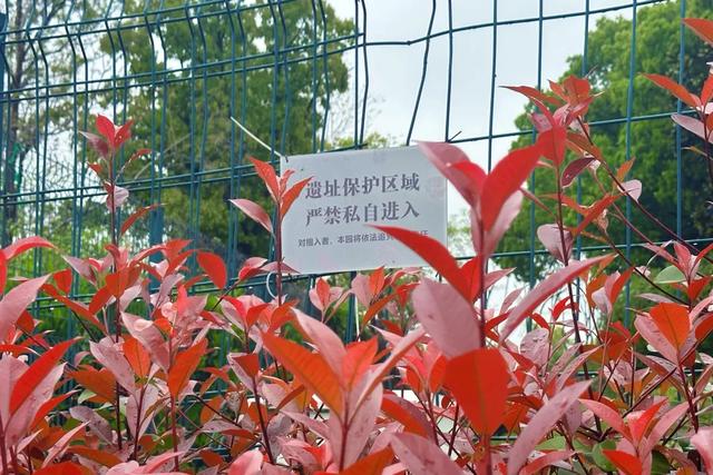 昆山兵希惊现考古重地，想起10年前无人问津的草鞋山