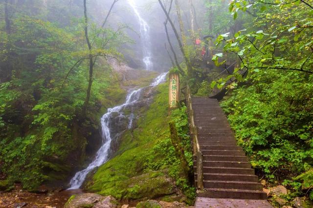 世界自然遗产、物种基因库、北纬31°绿色奇迹——神农架旅游攻略