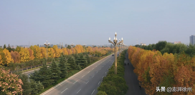 砀山：初冬的迈瑞大道美翻了！