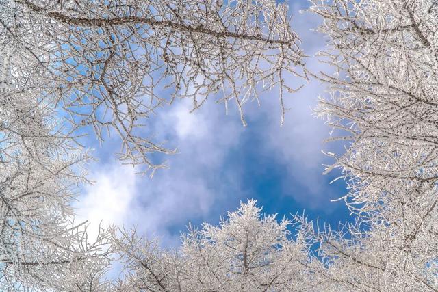 【文明旅游】太原市娄烦县：云顶之上，雪落成诗，来娄烦云顶山，遇见冬日童话
