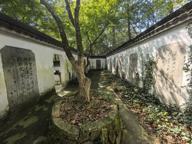 浙江湖州市德清县莫干山国家风景名胜区游记（下）