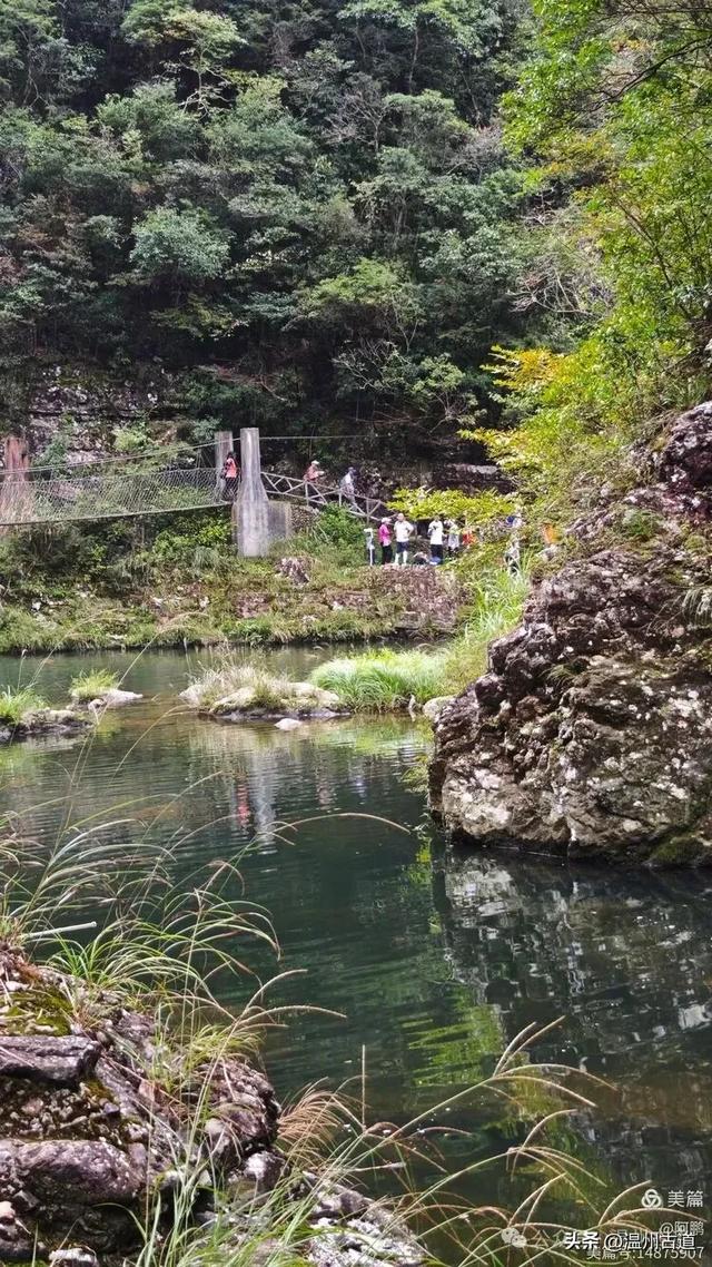 隐藏在温州深山幽谷的绿野仙踪,免费开放,知道的人却极少!
