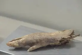 北方网友都出来，让南方人见识一下北方能干燥到什么程度！图片