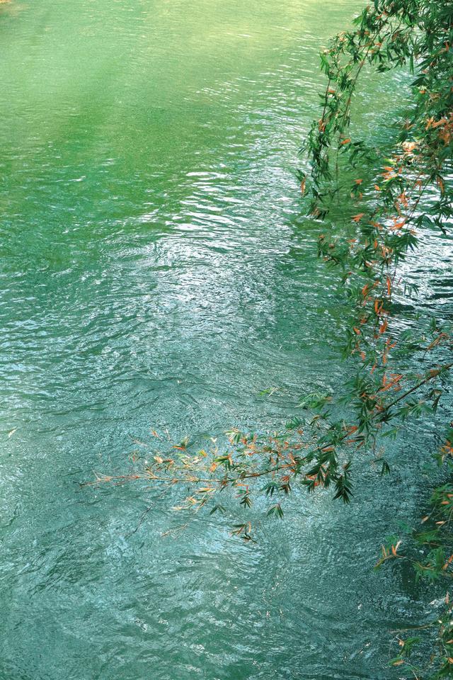 今天来到玉溪，误入龙泉胜地，古寺龙宫，泉池清澈，桃源仙境