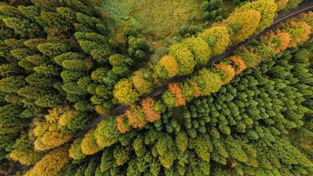 这个秋天来坪坝营，把日子过成童话！