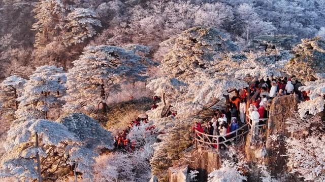 黄山初冬,打翻调色盘的绝美限定 | 皖美冬日