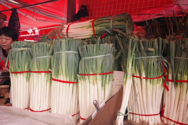 不打卡也能爱上青岛！轮渡追海鸥和早市啃馒头，体验本地人生活