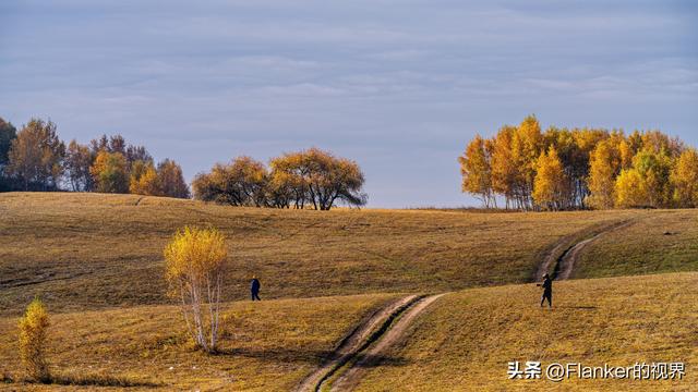 坝上寻秋续：一场穿越乌兰布统彩林的漫记