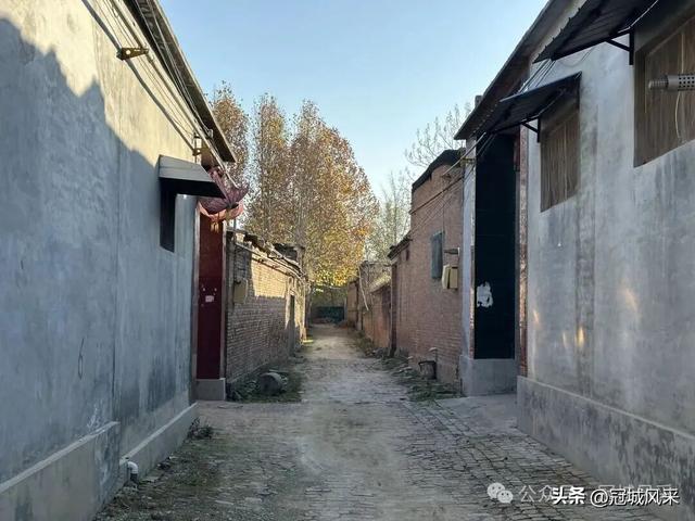 冠县乡韵·贾镇洼里村