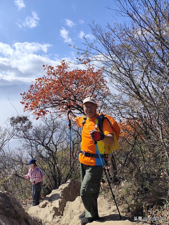 又见山山红叶飞