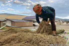 大凉山彝族的五洗工程和厠所革命，扶贫也要治陋习。图片