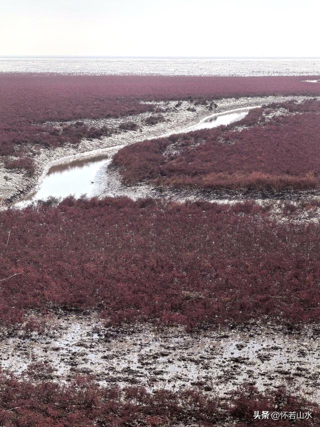 2025辽宁赏秋之旅日记(5)——从本溪前往盘锦 游览红海滩景观