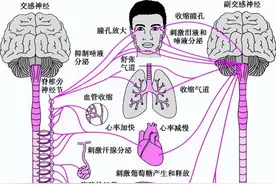 降压药物大盘点（四）——洛尔类药物图片