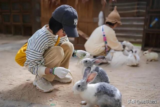 🥕解锁“疯狂动物城”佛坪分城🦊