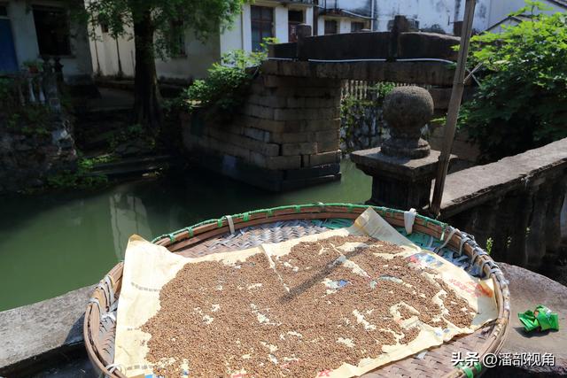 湖州独市村，渐归寂静的百年古村