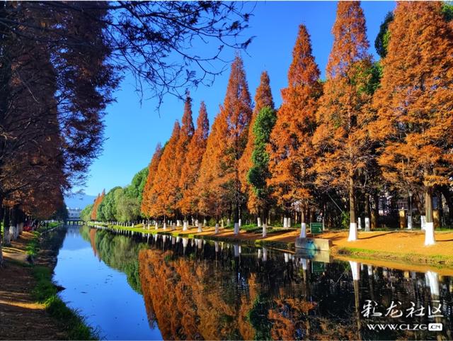 采莲河畔好风光