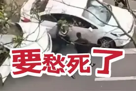 “要愁死了！”临汾警方通报多人持械砸车打人，可怜父母一路赔钱图片