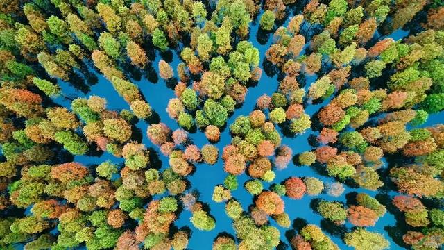 高铁1h！比西安秀美！这座千年古都秋色绝了！高光仅20天！