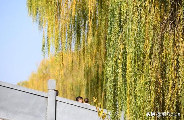 暖阳映照汉城湖 游人如织享冬趣