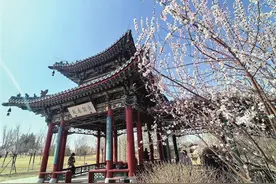 春色满并州 繁花醉游人图片