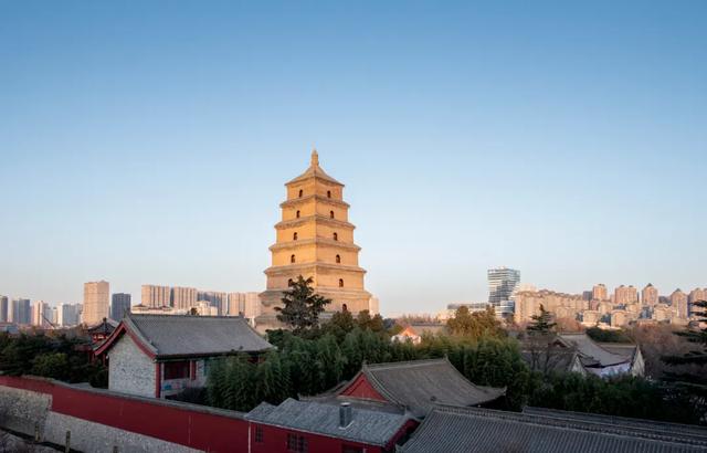 冬日长安，一场穿越千年的文化仪式