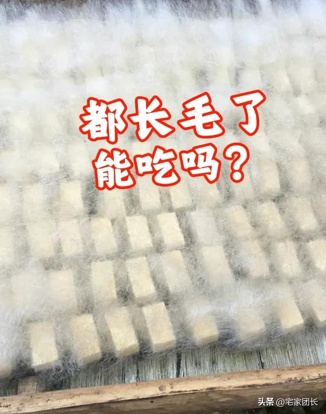 11月必冲!皖南82公里自驾线,承包安徽最绝秋色