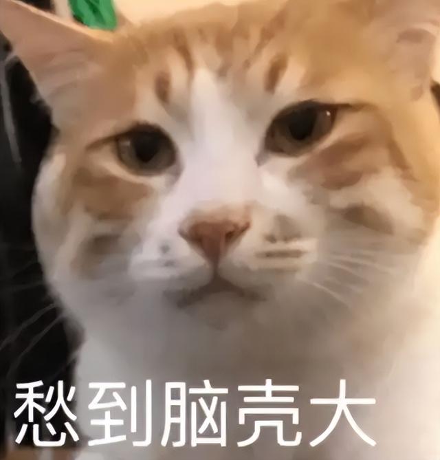 传统MMO越做越亏？《诛仙世界》首月流水曝光，网易、腾讯沉默了