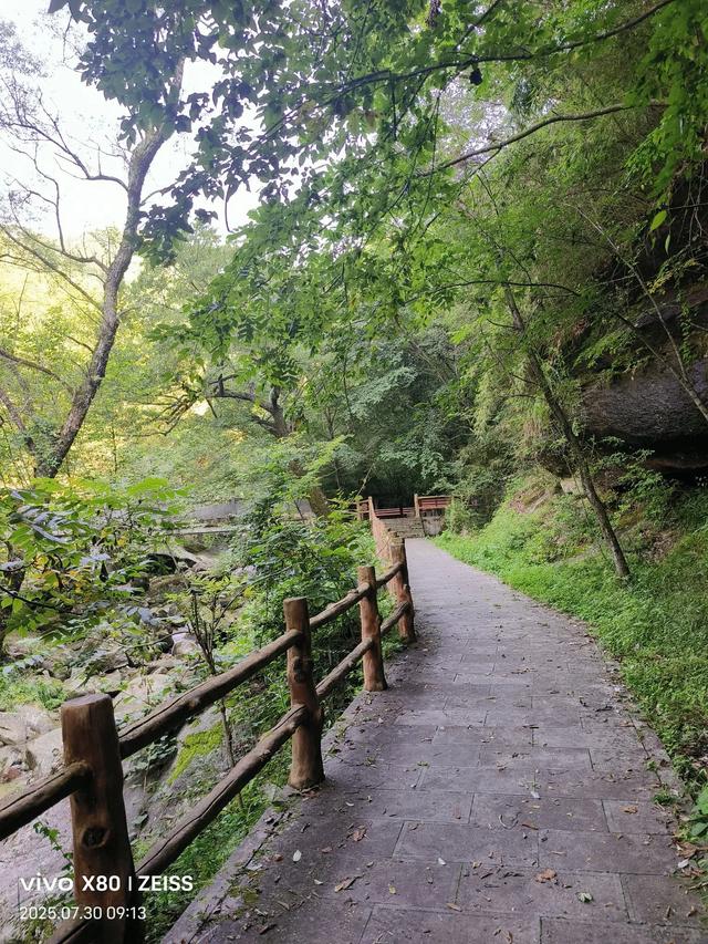 林壑听涛逢旧雨 溪声松语话流年