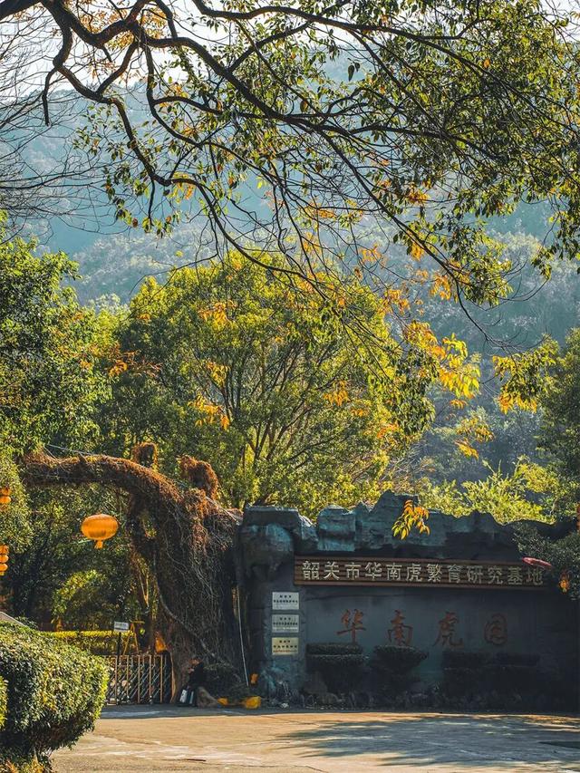 韶关这些秋冬的徒步骑行宝藏路线值得你N刷！喊上搭子，周末就出发去捕捉秋天的限定温柔