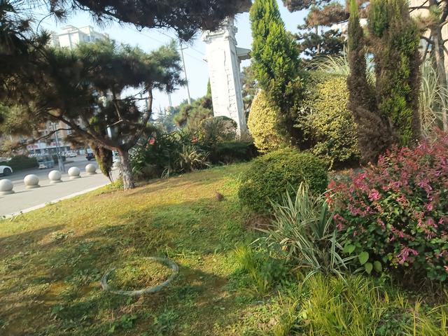 生肖猪：不出七天，将有一“远方故交”找上门 	，他是你家孩子的福