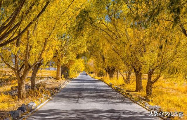 西藏，旅行天花板！2026年的最全玩法，就在这篇里→