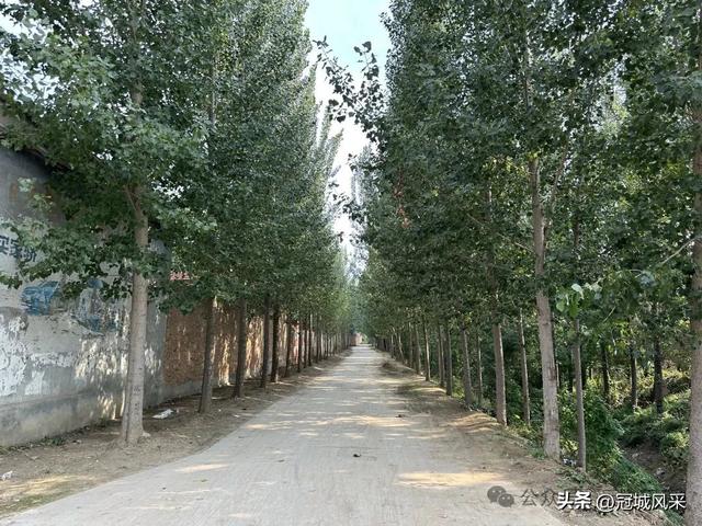 冠县乡韵·辛集镇丁刘八寨
