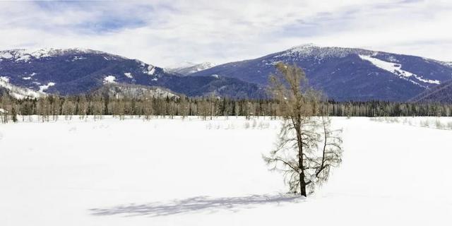阿勒泰冬日独白