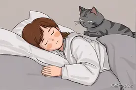 猫为何一大早就要“叫你起床”，原来是这些原因，太真实了图片