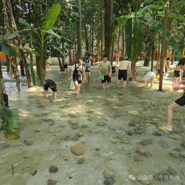 高温刷屏！崇州这里给你送清凉“造”欢乐