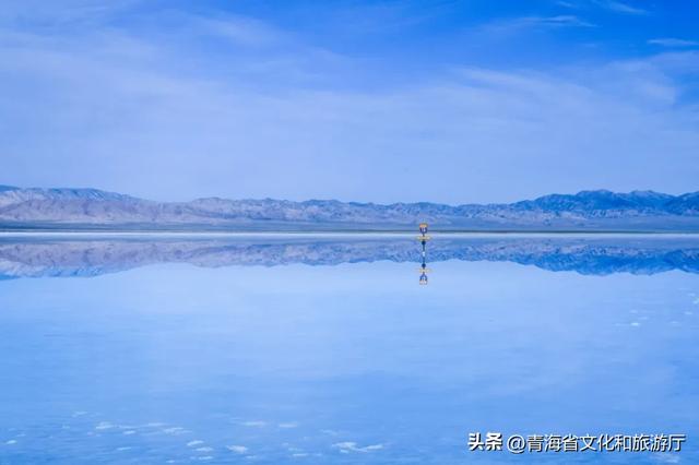 初冬青海，一场静谧与热烈并存的生命礼赞