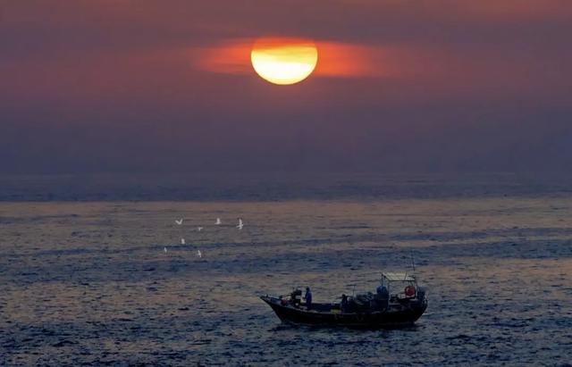 体荟四季｜冲浪、赶海、骑行...江浙沪这些 “动感海岸线”激活你的整个夏天