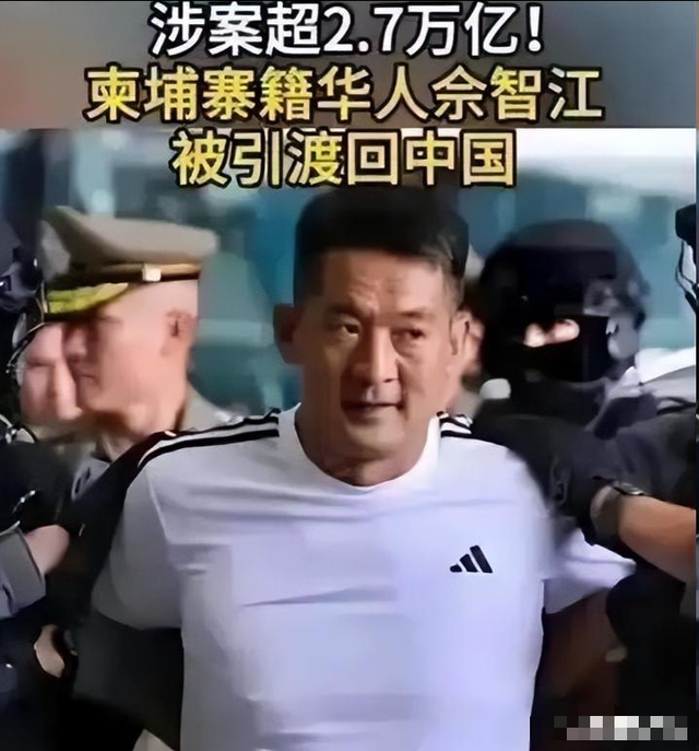 拔出萝卜带出泥！49岁赵薇近况被曝，原来圈内封杀只是冰山一角