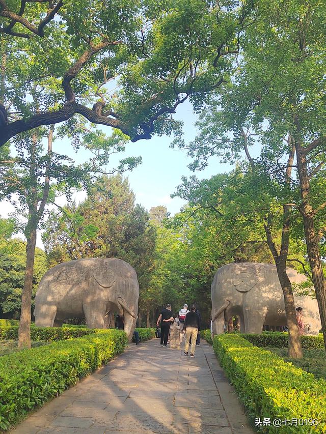 国庆假期，南京钟山风景区开启假期模式，实行交通管制，建议出行