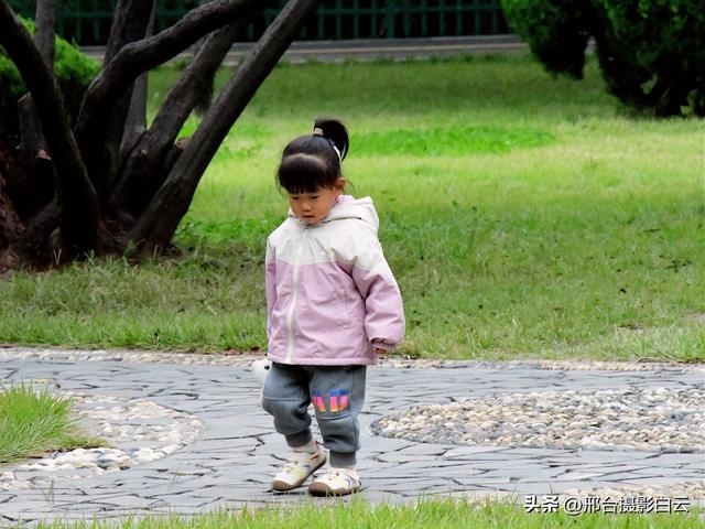 达活泉公园最美秋色（图）