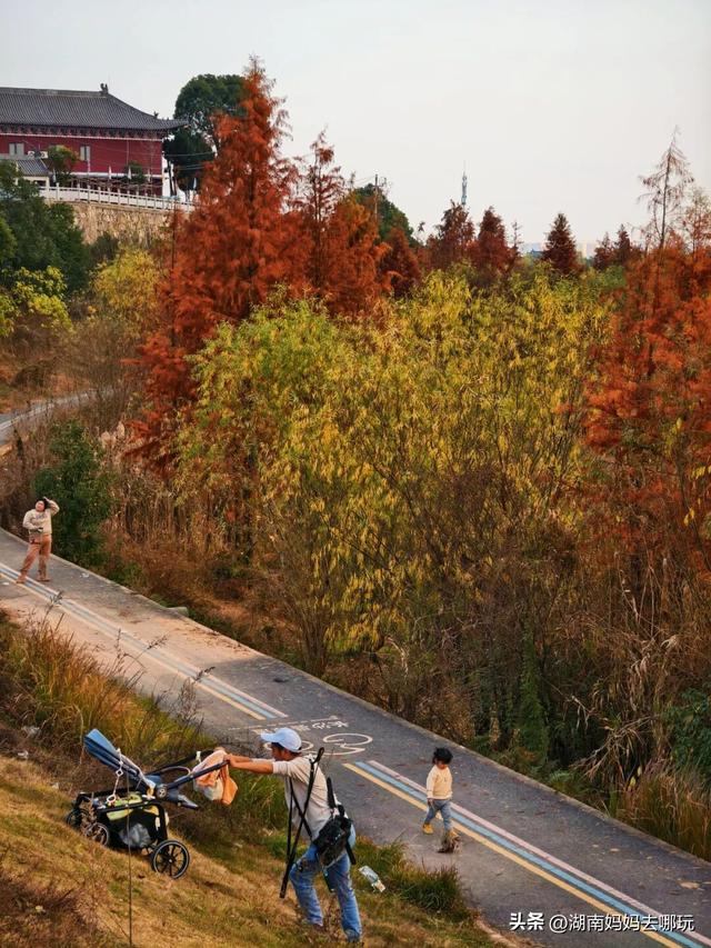 公交直达冬日限定“小东非”，带娃解锁长沙safari隐藏玩法！